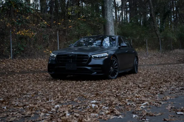 Dendy Casino Aip Android/iOS